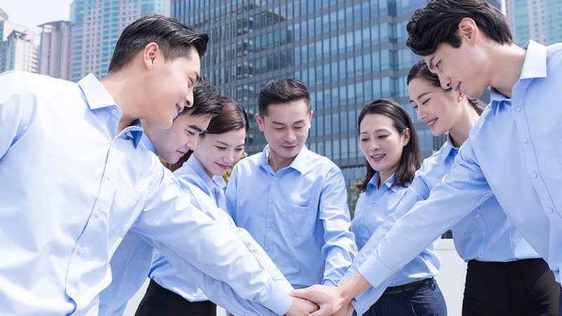 职能型与事业部制：组织架构的差异化解析**