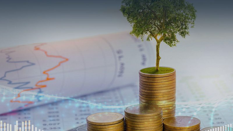 创业公司股权动态调整：如何构建有效的股权激励机制**